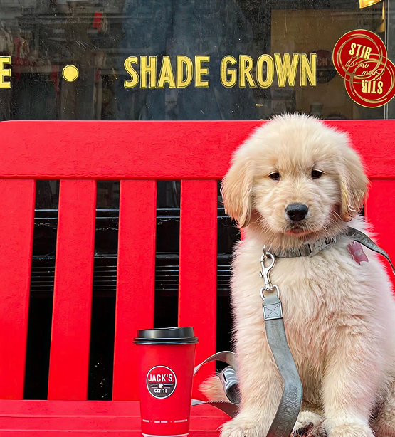 Jack's Coffee